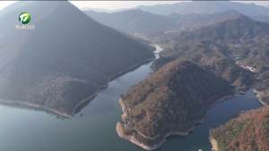 黄山区：13万尾鱼苗入湖守护生态底色