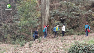 徒步健行古道 共护新安源头