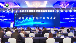 2025安徽視聽文旅融合發展大會開幕
