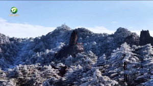 黃山風景區再獲IUCN綠色名錄認證