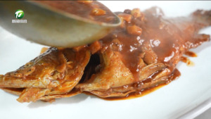 我市战队出征“超级皖”四强争夺赛 我市战队出征“超级皖”四强争夺赛