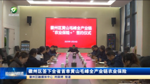 简讯：徽州区签下全省首单黄山毛峰全产业链农业保险