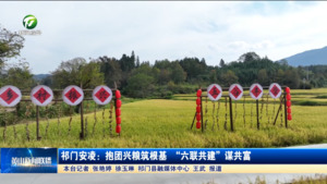 祁门安凌：抱团兴粮筑根基 “六联共建”谋共富