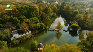 【非凡“十四五”·奋力往前赶】农业农村硕果盈枝 黄山乡村振兴书写亮眼答卷