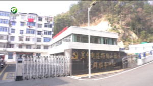 【非凡“十四五”·我们身边的小确幸】屯溪区：茶韵暖人心 和姐解千忧