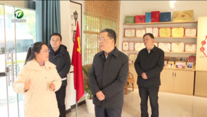 丁纯在黄山区访企入村调研时强调 壮大县域富民产业 推进乡村全面振兴 努力让人民群众过上更加幸福美好生活