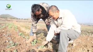 简讯:歙县：“管”好生态绿 “收”获致富金