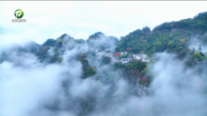 【代表委员风采】市政协委员汪平富：三十载守护名山文脉 履职路建言文旅融合