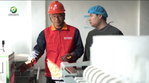 祁门：电力赋能 茶油飘香