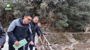 【代表委员风采】市人大代表王涛涛：扎根山村践初心 履职为民显担当