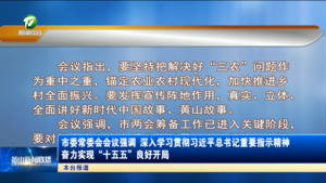 市委常委会会议强调 深入学习贯彻习近平总书记重要指示精神 奋力实现“十五五”良好开局