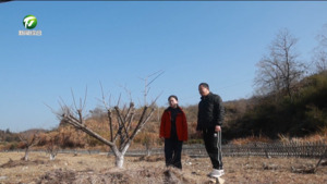 黟县：政保合力守护农户好“丰”景