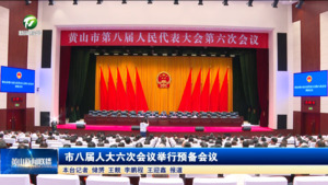 市八届人大六次会议举行预备会议