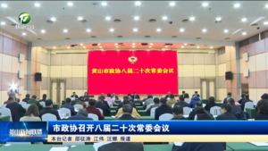 市政协召开八届二十次常委会议