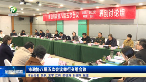 市政协八届五次会议举行分组会议