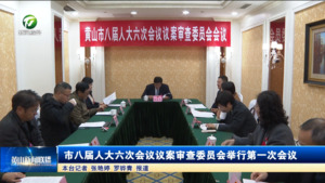 市八届人大六次会议议案审查委员会举行第一次会议