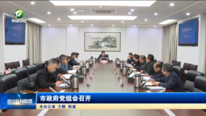 市政府党组会召开