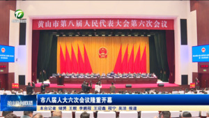 市八届人大六次会议隆重开幕