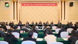 丁纯在参加歙县代表团审议时强调 挑起大梁  创新突破  在“十五五”新征程上开新局谱新篇