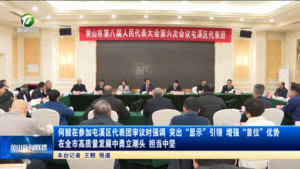 何毅在参加屯溪区代表团审议时强调 突出“显示”引领，增强“首位”优势 在全市高质量发展中勇立潮头、担当中坚