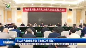 市人大代表分组审议《政府工作报告》