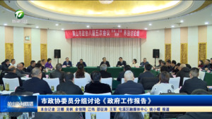 市政协委员分组讨论《政府工作报告》