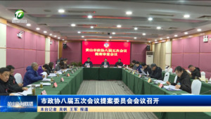 市政协八届五次会议提案委员会会议召开