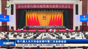 市八届人大六次会议举行第二次全体会议 市八届人大六次会议举行第二次全体会议