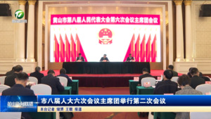 市八届人大六次会议主席团举行第二次会议 市八届人大六次会议主席团举行第二次会议