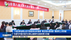 丁纯在参加黄山区代表团审议时强调 铆足劲头谋创新 乘势而上求突破 为谱写中国式现代化黄山篇章作出新的更大贡献 丁纯在参加黄山区代表团审议时强调 铆足劲头谋创新 乘势而上求突破 为谱写中国式现代化黄山篇章作出新的更大贡献