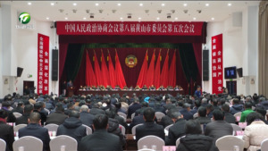 市政协八届五次会议举行第二次全体会议 市政协八届五次会议举行第二次全体会议