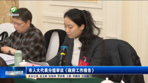 市人大代表分组审议《政府工作报告》 市人大代表分组审议《政府工作报告》