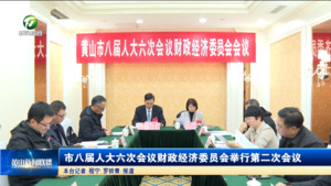 市八届人大六次会议财政经济委员会举行第二次会议 市八届人大六次会议财政经济委员会举行第二次会议