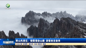 黄山风景区：瑞雪漫染山巅 游客纷至沓来