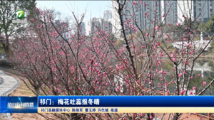 简讯  祁门：梅花吐蕊报冬晴