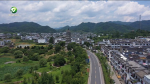 “导-师-制+”让青春绽放别样光彩