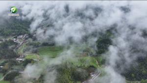 我市三地入选第二批“安徽省商文旅体融合发展集聚区”名单