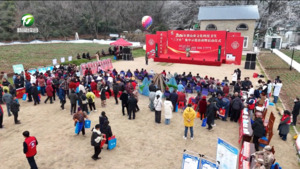 2026年黄山市文化科技卫生“三下乡”集中示范活动暨启动仪式举办 2026年黄山市文化科技卫生“三下乡”集中示范活动暨启动仪式举办