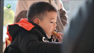 简讯 祁门：一口荠菜春卷 “咬”出春天好味道