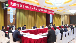 黄山代表团审议省政府工作报告 审查“十五五”规划纲要草案