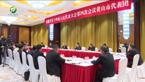 张西明参加黄山市代表团审议省政府工作报告、审查“十五五”规划纲要草案