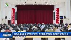 2025年度市直单位党组（党委）书记抓基层党建工作述职评议会议召开