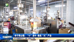 简讯：休宁商山镇：“小”茶叶 做成“大”产业