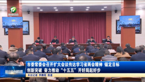 市委常委会召开扩大会议传达学习省两会精神 锚定目标  创新突破奋力推动“十五五”开好局起好步