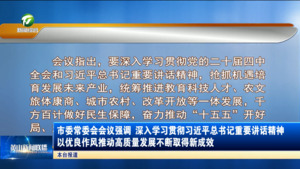 市委常委会会议强调 深入学习贯彻习近平总书记重要讲话精神 以优良作风推动高质量发展不断取得新成效