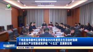 丁纯在指导徽州区委常委会2025年度民主生活会时强调 以全面从严治党新成效护航“十五五”发展新征程 丁纯在指导徽州区委常委会2025年度民主生活会时强调 以全面从严治党新成效护航“十五五”发展新征程