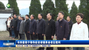 市四套班子领导赴安凌镇革命老区慰问 市四套班子领导赴安凌镇革命老区慰问