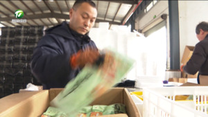 【聚黄山 话发展 黄山市异地商会新年新声】奋战“春节档” 冲刺“开门红”——江西商会会员企业春节生产忙 【聚黄山 话发展 黄山市异地商会新年新声】奋战“春节档” 冲刺“开门红”——江西商会会员企业春节生产忙