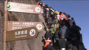 黄山风景区：天气晴好 错峰出游正当时