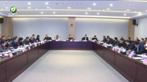 全市重点产业“双招双引”工作推进会召开 丁纯作批示 何毅出席并讲话